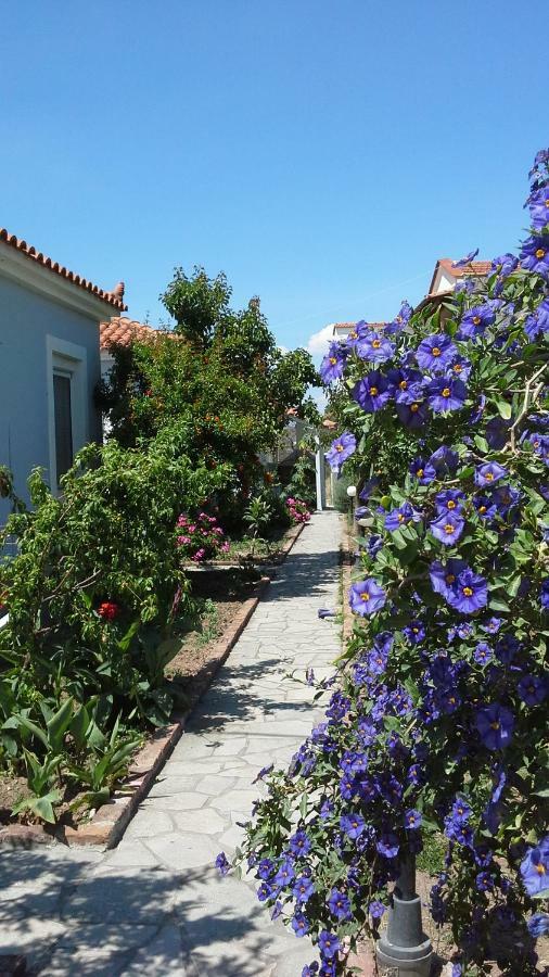 Armonia Houses Tsonia Exterior photo
